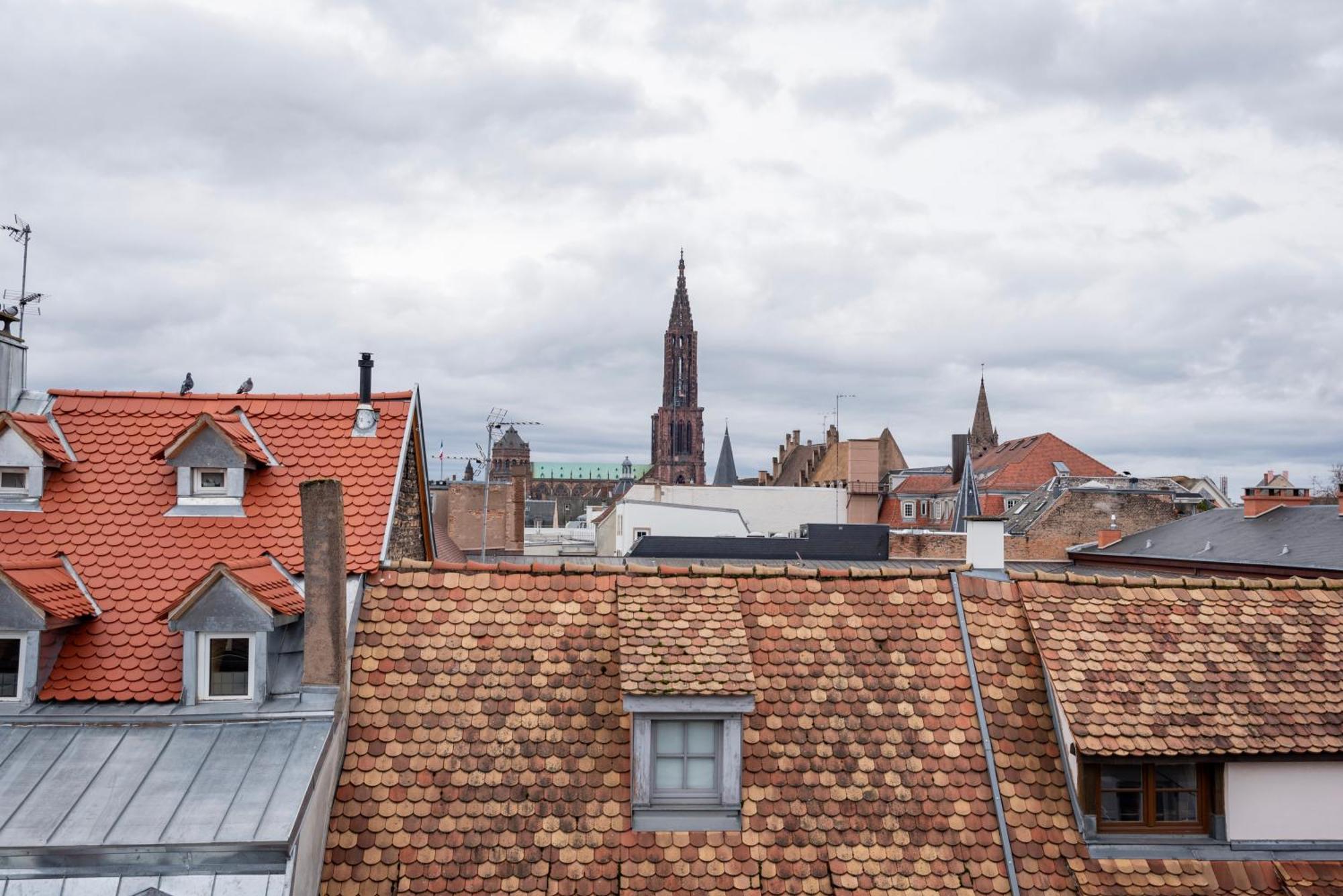 Le Schoepflin - Coeur De Strasbourg - Vue Toits Экстерьер фото