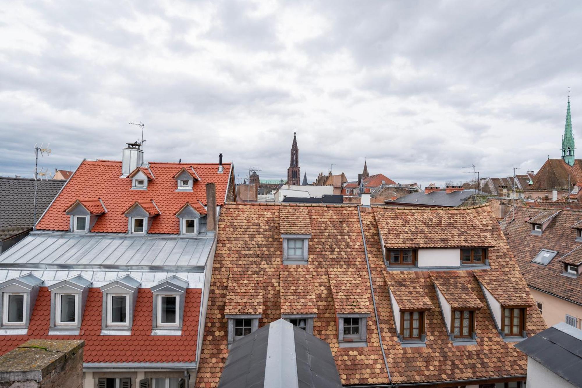 Le Schoepflin - Coeur De Strasbourg - Vue Toits Экстерьер фото